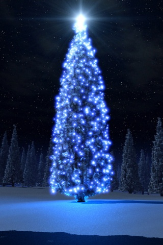 Christmas Tree iPod Touch Christmas Tree iPod Touch
