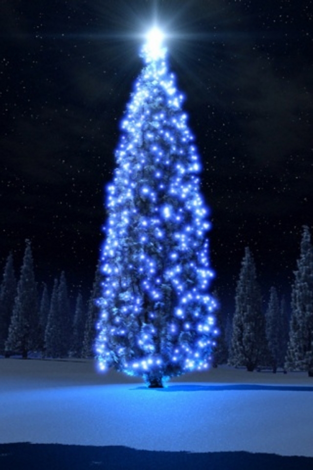Christmas Tree iPod Touch Wallpaper, Background and Theme