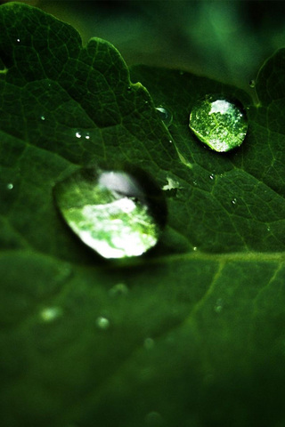 Water Droplets iPod Touch Wallpaper