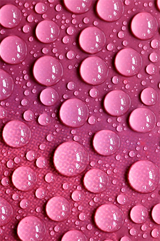 Pink Drops iPod Touch Wallpaper
