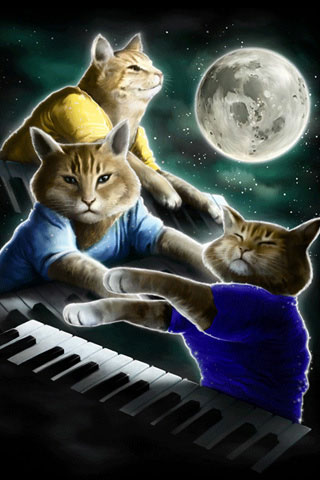 Three Keyboard Cat Moon iPod Touch Wallpaper