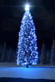 Christmas Tree iPod Touch Wallpaper