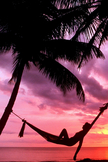 Beach Hammock