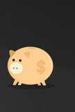 Piggy Bank iPod Touch Wallpaper