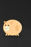 Piggy Bank