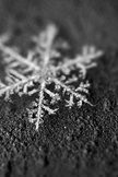 Snowflake iPod Touch Wallpaper