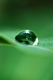 Water Drop iPod Touch Wallpaper