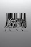 Zebra iPod Touch Wallpaper