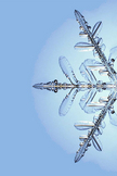 Snowflake iPod Touch Wallpaper