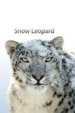 Snow Leopard iPod Touch Wallpaper