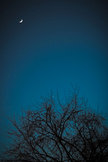 Moonlight iPod Touch Wallpaper