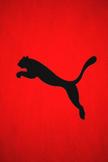 Puma Logo iPod Touch Wallpaper