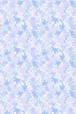 Ice Leaves iPod Touch Wallpaper